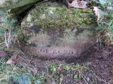 image of grave number 559215